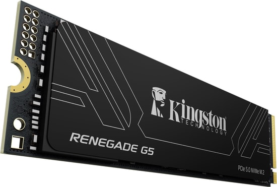 Kingston Renegade 1TB Gen5 M.2 NVMe PCIe 5.0 SSD (SRNG2S/1T0) - 14200/11000 MB/s Okuma/Yazma, SLC Önbellek, PS5 Uyumlu
