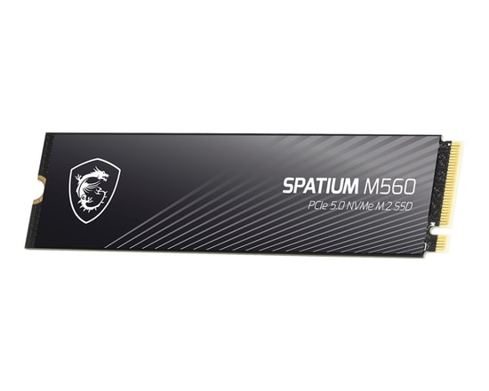 MSI Spatium M560 2TB PCIe 5.0 NVMe M.2 3D NAND SSD - 10300/8700MB/s Okuma/Yazma, Yüksek Performanslı, LDPC ECC