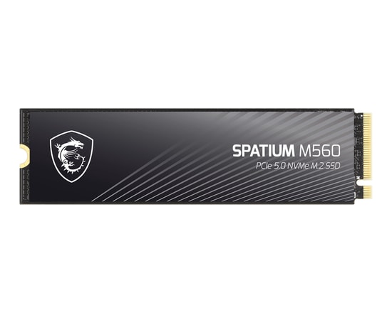 MSI Spatium M560 2TB PCIe 5.0 NVMe M.2 3D NAND SSD - 10300/8700MB/s Okuma/Yazma, Yüksek Performanslı, LDPC ECC
