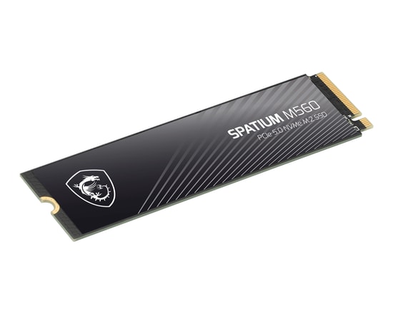 MSI Spatium M560 2TB PCIe 5.0 NVMe M.2 3D NAND SSD - 10300/8700MB/s Okuma/Yazma, Yüksek Performanslı, LDPC ECC