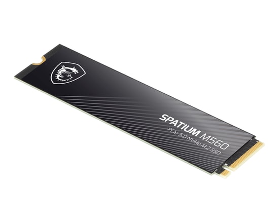 MSI Spatium M560 2TB PCIe 5.0 NVMe M.2 3D NAND SSD - 10300/8700MB/s Okuma/Yazma, Yüksek Performanslı, LDPC ECC