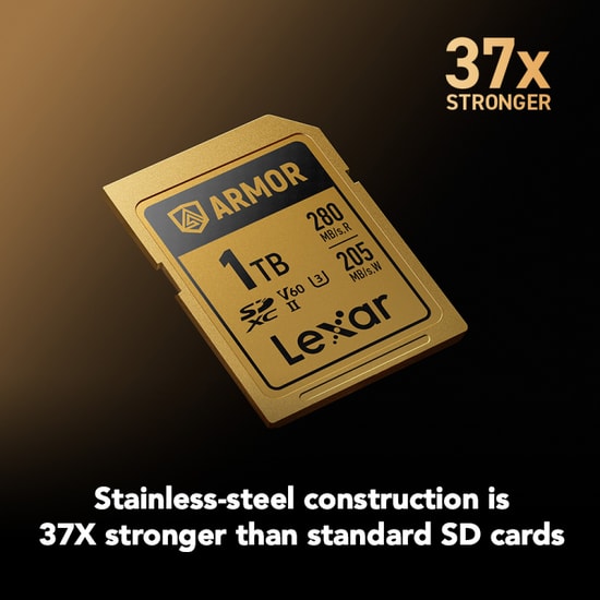Lexar Armor Gold 1TB SDXC UHS-II Profesyonel SD Kartı (LSDAMGL001T-RNNNG) - 280-205MB/s Okuma Yazma, V60, C10, U3, IP68