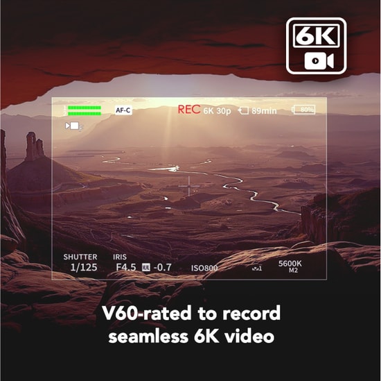 Lexar Armor Gold 1TB SDXC UHS-II Profesyonel SD Kartı (LSDAMGL001T-RNNNG) - 280-205MB/s Okuma Yazma, V60, C10, U3, IP68