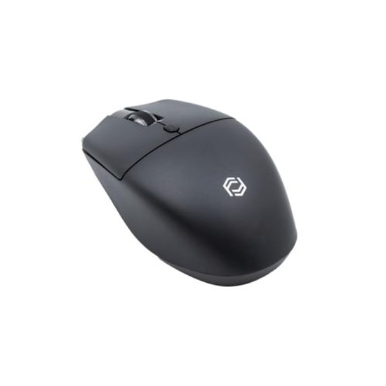 Frisby FM-284WM Siyah Kablosuz Optik Mouse - 1600 DPI, 2.4 GHz Bağlantı, Ergonomik Tasarım ve Uzun Pil Ömrü
