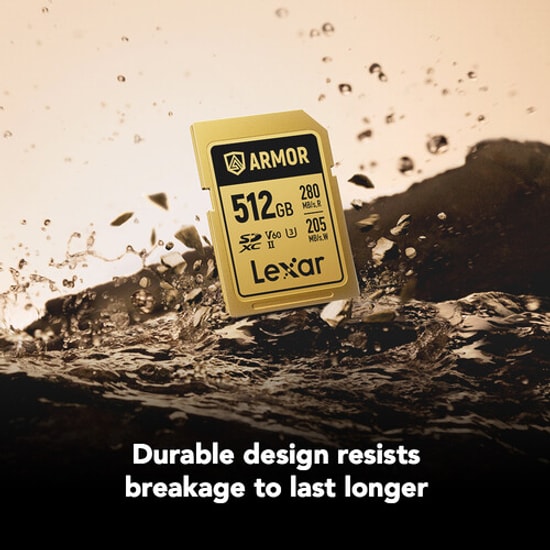 Lexar Armor Gold 512GB Profesyonel Seri SD Kartı (LSDAMGL512G-RNNNG) - 280MB/s Okuma, 205MB/s Yazma, V60, C10, U3