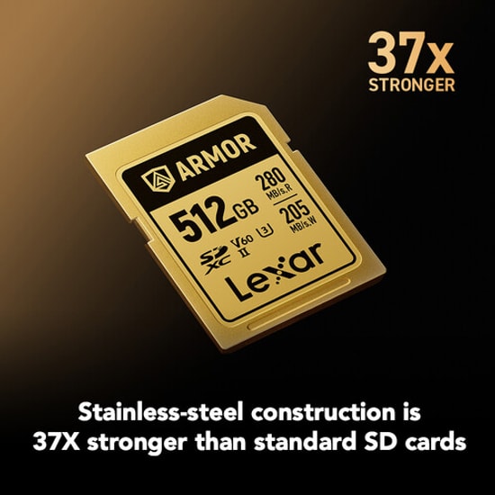 Lexar Armor Gold 512GB Profesyonel Seri SD Kartı (LSDAMGL512G-RNNNG) - 280MB/s Okuma, 205MB/s Yazma, V60, C10, U3