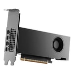 PNY RTX Pro 2000 Blackwell 16GB GDDR7 ECC Ekran Kartı (VCNRTXPRO2000-SB), 4xMini DP 2.1, Yapay Zeka (AI) Destekli