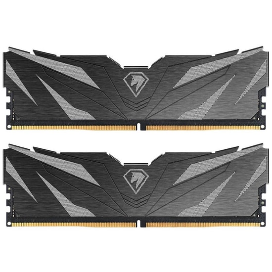 Netac Shadow II 32GB (2x16GB) DDR5 5600MHz Siyah RAM (NTSWD5P56DP-32KC46) - CL46, PC5-44800, Yüksek Performans