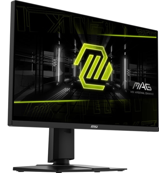 MSI MAG 255PXF 24.5" FHD 300Hz 0.5ms Rapid IPS Oyuncu Monitörü - Pivot, FreeSync Premium, %120 sRGB, HDMI 2.0, DP 1.4