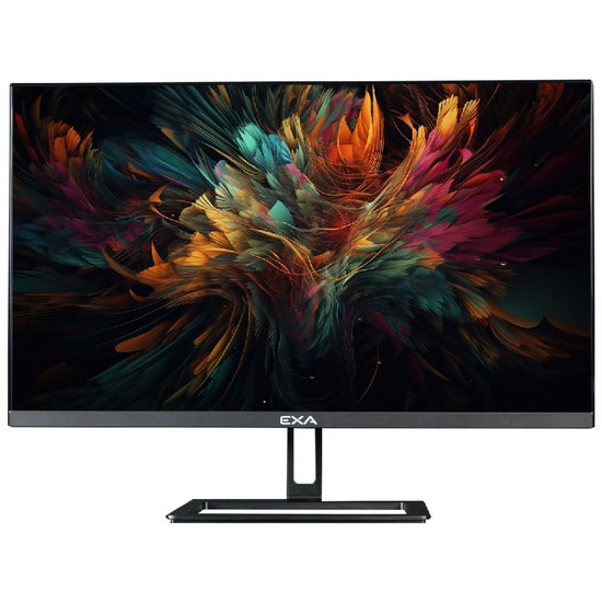 EXA AIO X24S C52 Intel i5-12400 Siyah AIO PC