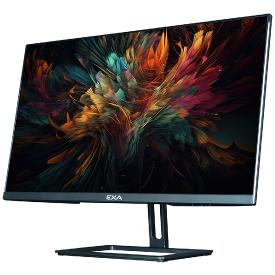 EXA AIO X24S C52 Intel i5-12400 Siyah AIO PC