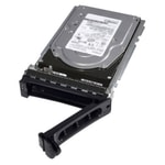 Dell 480GB 2.5" SATA Okuma Yoğun Sunucu SSD (345-BGVP) - 6Gbps, ISE, RI, 512e, PowerEdge R/C Serisi Uyumlu