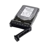 Dell 2TB Hot-Plug HDD Hybrid Sunucu Sabit Diski (400-AMUI) - 2.5", 7.200 RPM, SATA 6Gbps, Advanced Format 512n, Hot-Plug