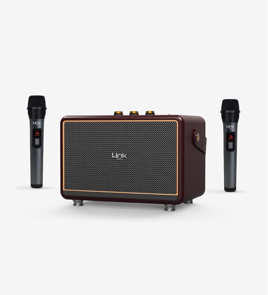 LinkTech LPS-M407 Premium Retro Mikrofonlu Kahverengi Bluetooth Hoparlör - 50W, TWS, USB/TF Kart, Type-C, 6000mAH Pil