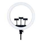 Nettech RL-21 Siyah 21 inç Led Ring Light Işık (NT-106767) - Uzaktan Kumandalı, Profesyonel Stüdyo Çekim Aydınlatması