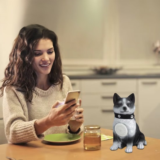Nettech CH-M242 Wolf Kablosuz Hoparlör - Speaker (Füme) Bluetooth Hoparlör - Mono Ses, Micro Şarj, Suya Dayanıklı