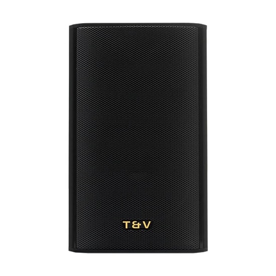 Thonet Vander Rein Bluetooth Hoparlör (REIN) - 20W Güç, TWS Teknolojisi, Suya Dayanıklı IPX7, Siyah Renk Tasarımı