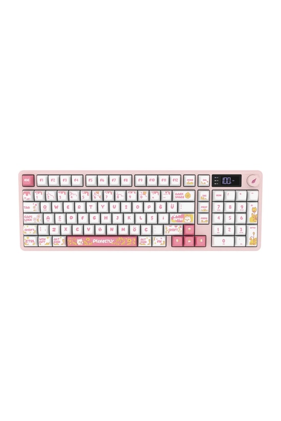 Hawk HK258WP Beyaz Pembe Q Türkçe RGB Kablosuz Gaming Klavye - Bluetooth, 19 Anti-Ghosting, Şarjlı Pil
