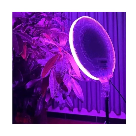 Nettech CS-2600 Siyah 8 inç RGB Led Ring Light Işık (NT-105880) - Mobil Cihaz Uyumlu, Alüminyum Gövde Aydınlatma