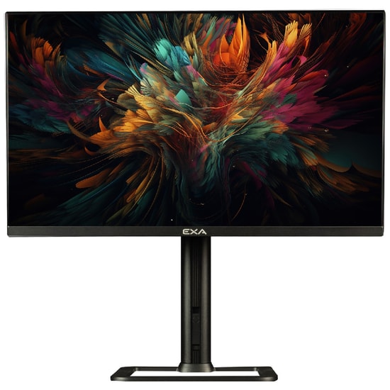 EXA AIO X24S PRO-V2 16GB 512GB Siyah PC - Intel i5-12400, 23.8" Pivot, DDR5, Wi-Fi 6, 5MP Webcam, FreeDOS