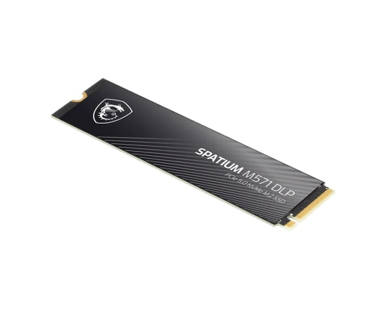 MSI Spatium DLP M.2 SSD (M571-4TB-14600MB) PCIe 5.0 NVMe - Sıralı Okuma 14600MB/s, Sıralı Yazma 10000MB/s