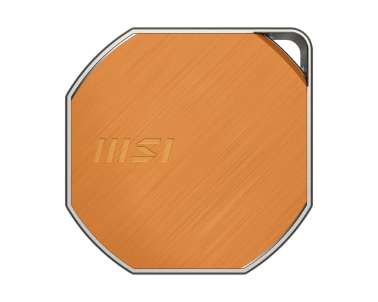 MSI DataMag Lite 40Gbps 1TB Taşınabilir Harici SSD - USB-C, 4000MB/s Okuma, 3500MB/s Yazma, 3D NAND Flash