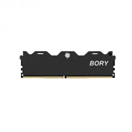 Bory 16GB DDR4 2666MHz CL19 Masaüstü RAM (AB132BRY0002) - Soğutuculu, Yüksek Performanslı Oyun RAM, Siyah Renk, 1.2V