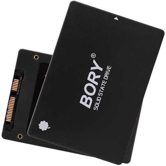 Bory 256 GB R500-C256G SATA3 SSD Disk - 550/510 MB/s Okuma/Yazma Hızı, 2.5", 3 Yıl Resmi Üretici Garantili