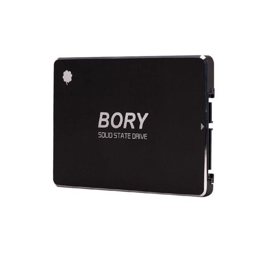 Bory 256 GB R500-C256G SATA3 SSD Disk - 550/510 MB/s Okuma/Yazma Hızı, 2.5", 3 Yıl Resmi Üretici Garantili