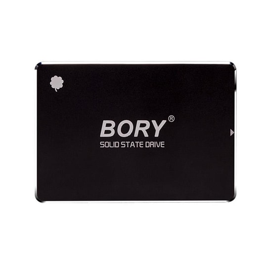 Bory 256 GB R500-C256G SATA3 SSD Disk - 550/510 MB/s Okuma/Yazma Hızı, 2.5", 3 Yıl Resmi Üretici Garantili