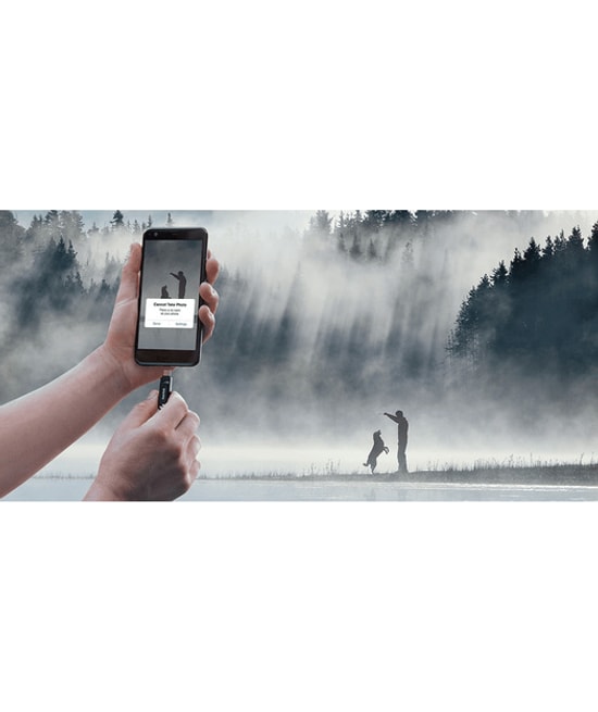 Sandisk Ultra Dual Drive Go 256GB USB Type-C & Type-A Flash Bellek (SDDDC3-256G-G46) - 400MB/s, Çift Yönlü, Siyah