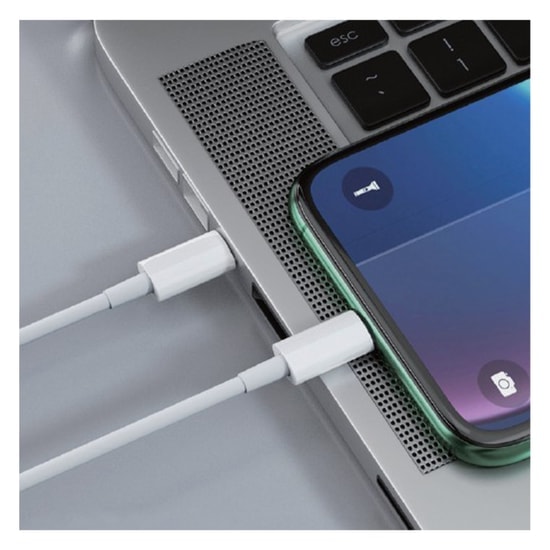 Nettech NT-DC10 2.4A 100 Cm Type-C To Lightning Şarj ve Data Kablosu (Beyaz) - Hızlı Şarj, Plastik Tasarım