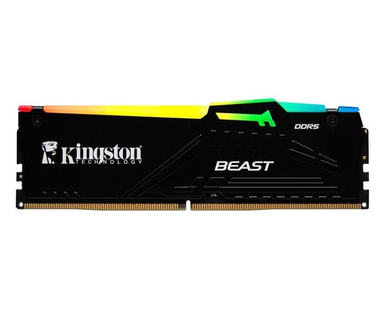 Kingston FURY Beast 16GB (1x16GB) 5600MHz DDR5 RGB Ram (KF556C36BBEA-16) - CL36 EXPO Siyah Performans Belleği