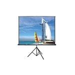 CODEGEN TX-20 Tripod Projeksiyon Perdesi 200x200 cm - Taşınabilir, Yüksek Yansıtma Gücü, Kolay Kurulum