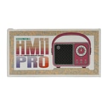 Nettech HM11 Pro Minibox Bluetooth Hoparlör (NT-108794) - Kablosuz, Taşınabilir Speaker, FM Radyo, MP3 Çalar