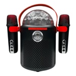 Nettech Y-13 Karaoke Box Kablosuz Hoparlör (NT-108802) - Bluetooth Taşınabilir Speaker