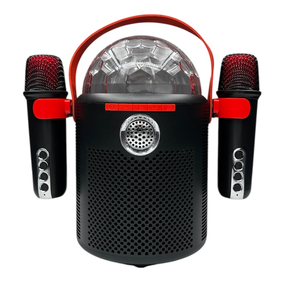 Nettech Y-13 Karaoke Box Kablosuz Hoparlör (NT-108802) - Bluetooth Taşınabilir Speaker