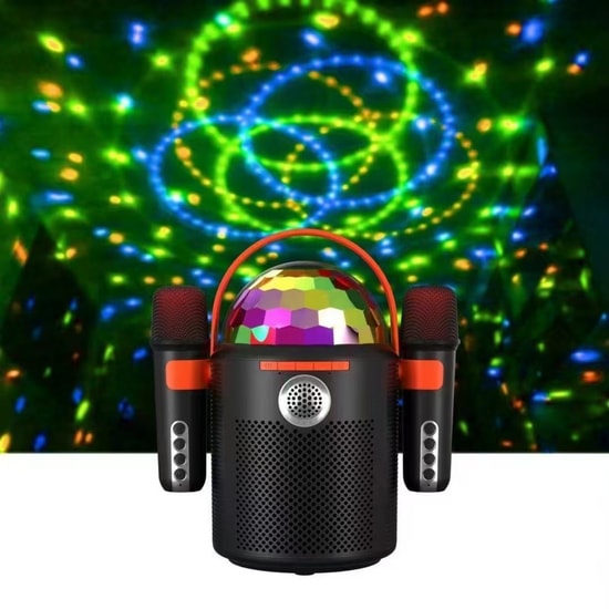 Nettech Y-13 Karaoke Box Kablosuz Hoparlör (NT-108802) - Bluetooth Taşınabilir Speaker