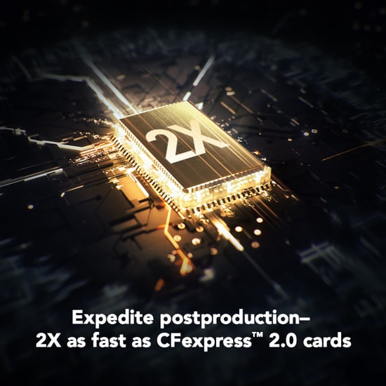 Lexar 512Gb LCXEXP4512G-RNENG CF-Exp Professional Gold Series CF Express Type-B 3600Mbs Okuma 3300Mbs Yazma Kart Bellek