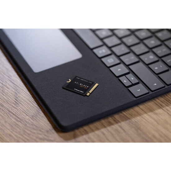WD_BLACK SN770M 500GB NVMe M.2 2230 SSD - 5000/4000MB/s PCIe Gen4 Yüksek Performanslı SSD (WDS500G3X0G)
