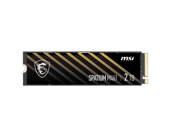 MSI Spatium M461 2TB NVMe M.2 SSD - 5000MB/s Okuma, 4200MB/s Yazma, PCIe Gen4, 3D NAND SSD