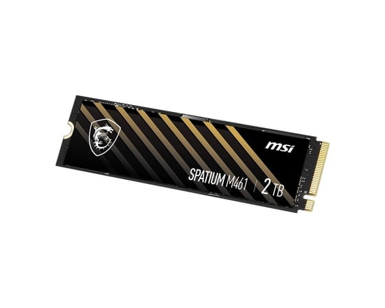 MSI Spatium M461 2TB NVMe M.2 SSD - 5000MB/s Okuma, 4200MB/s Yazma, PCIe Gen4, 3D NAND SSD
