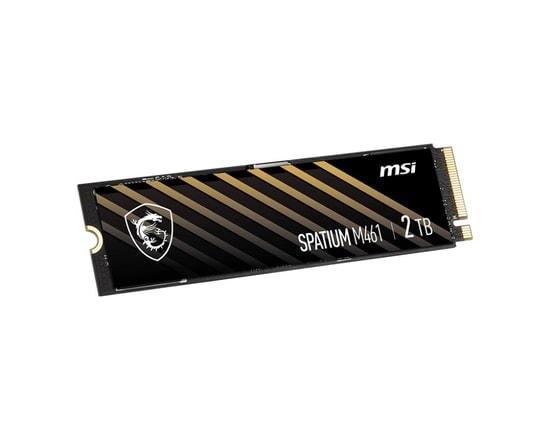 MSI Spatium M461 2TB NVMe M.2 SSD - 5000MB/s Okuma, 4200MB/s Yazma, PCIe Gen4, 3D NAND SSD