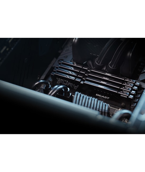 Kingston Beast 16GB DDR5 6000MHz CL36 EXPO RAM (KF560C36BBE2-16TR) - Siyah, Yüksek Performanslı Masaüstü Bellek