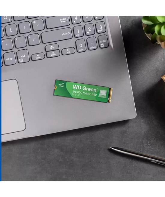 WD Green SN3000 500GB NVMe M.2 3D NAND SSD (WDS500G4G0E) - 5000/4100 MB/s Okuma Yazma, PCIe Gen 4x4, SLC Önbellek