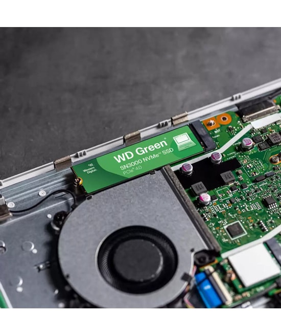 WD Green SN3000 500GB NVMe M.2 3D NAND SSD (WDS500G4G0E) - 5000/4100 MB/s Okuma Yazma, PCIe Gen 4x4, SLC Önbellek