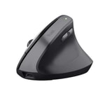 Trust 25371 TM-270 Ergonomik 2400Dpi Kablosuz USB-C Siyah TRU25371 Mouse