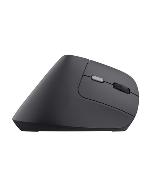 Trust 25371 TM-270 Ergonomik 2400Dpi Kablosuz USB-C Siyah TRU25371 Mouse