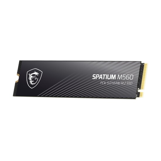 MSI Spatium M560 1TB PCIe 5.0 NVMe M.2 SSD - 10200MB/s Okuma, 8400MB/s Yazma, 3D NAND, 2280
