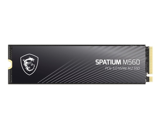 MSI Spatium M560 1TB PCIe 5.0 NVMe M.2 SSD - 10200MB/s Okuma, 8400MB/s Yazma, 3D NAND, 2280